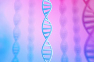 Genome