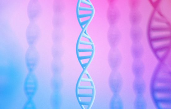 Genome