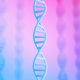 Genome